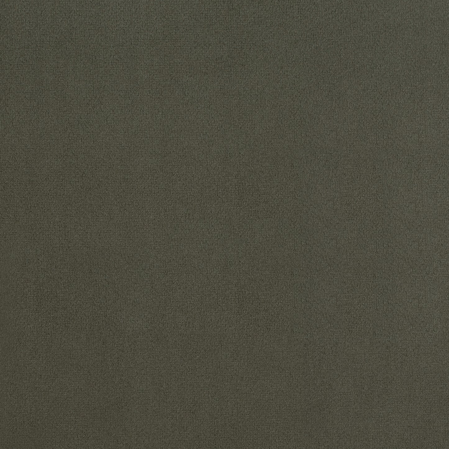 25235305