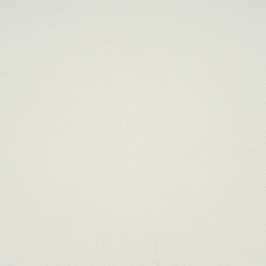 25363291