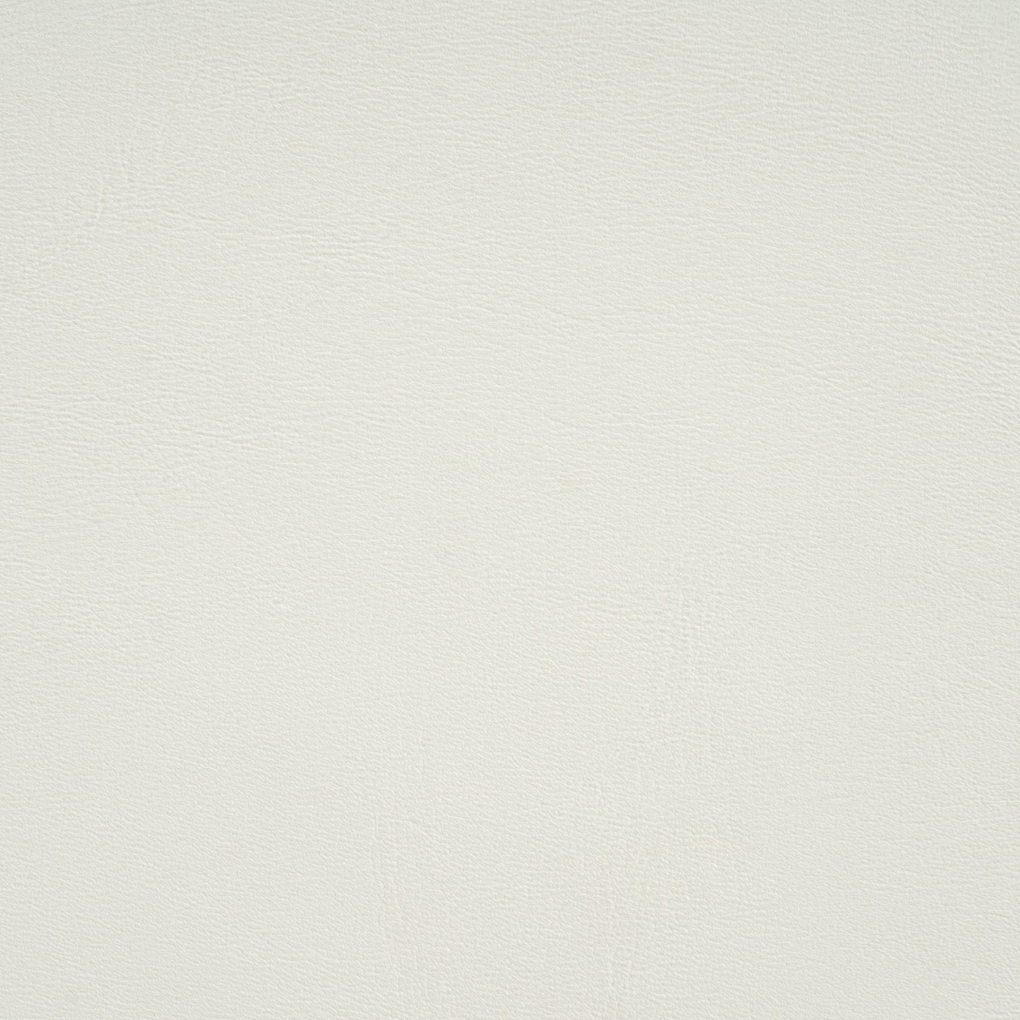 25363291