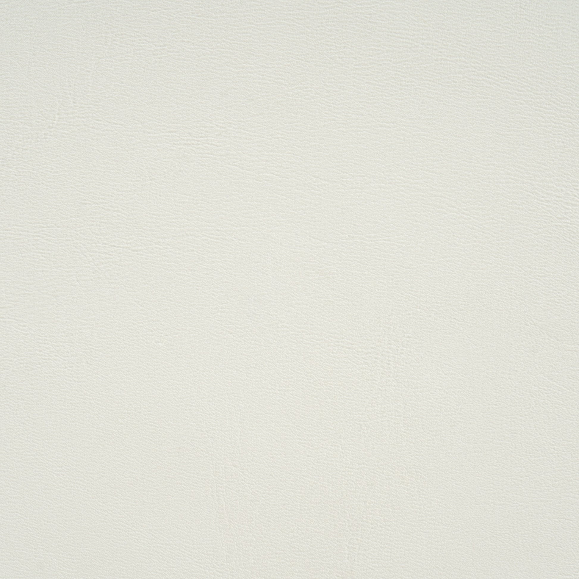25363291