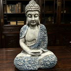 25681850