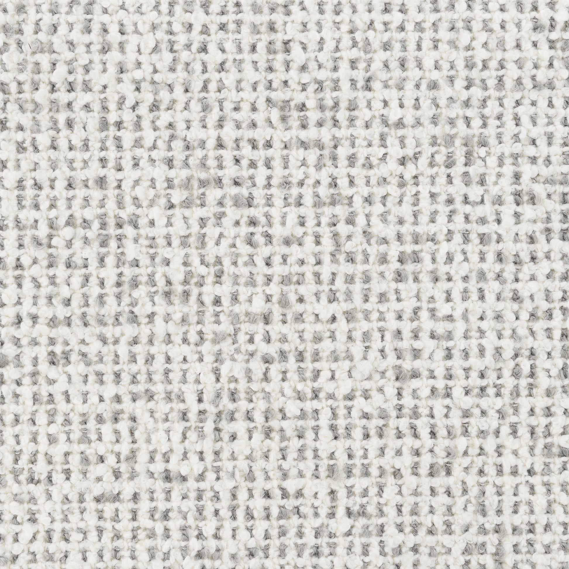 25526009